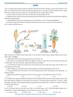 Công phá sinh đề minh họa THPT quốc gia môn sinh đề 