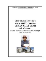 Giao trinh kien thuc chung ve san xuat muoi