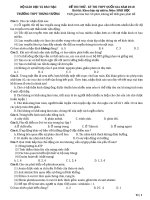 ĐỀ THI THỬ THAM KHẢO 