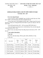 KẾ HOẠCH NHÓM TIN học