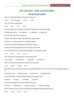 2019 sở GD đt đà nẵng 