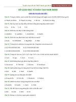 2019 sở GD đt nam định 