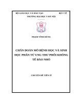 Nghiên cứu ứng dụng điều trị ung thư phổi không tế bào nhỏ không mổ được bằng phương pháp đốt sóng cao tần 
