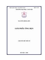 Nghiên cứu ứng dụng phẫu thuật nội soi ổ bụng điều trị các bệnh lý tồn tại ống phúc tinh mạc ở trẻ em 