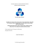 Nghiên cứu khả năng ứng dụng than sinh học cho đất cát trong nông nghiệp hữu cơ góp phần giảm thiểu biến đổi khí hậu.