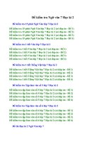 Đề kiểm tra ngữ văn 7 học kì 2 có đáp án