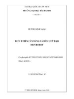 Điều khiển cân bằng và bám quỹ đạo Bicyrobot