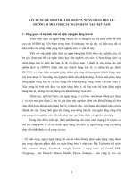 XÂY DỰNG HỆ SINH THÁI SỐ DỊCH VỤ NGÂN HÀNG BÁN LẺ  HƯỚNG ĐI MỚI CHO CÁC NGÂN HÀNG TẠI VIỆT NAM