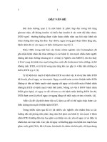 Đánh giá chức năng nội mạc ở bệnh nhân đái tháo đường type 2 