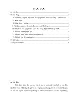 Tiểu luận hình sự  Nguyên tắc nhân đạo trong Bộ luật hình sự Việt Nam