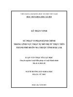 XỬ PHẠT VI PHẠM HÀNH CHÍNH TRONG LĨNH VỰC TRẬT TỰ ĐÔ THỊ TỪ THỰC TIỄN THÀNH PHỐ BUÔN MA THUỘT TỈNH ĐẮK LẮK