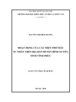 Hoạt động của các điện thờ Mẫu tư nhân trên địa bàn huyện Bình Xuyên, tỉnh Vĩnh Phúc