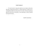 Chế tạo và nghiên cứu tính chất quang học của vật liệu tio2 có cấu trúc nano pha tạp ion đất hiếm 