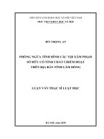 Phòng ngừa tình hình các tội xâm phạm sở hữu có tính chiếm đoạt trên địa bàn tỉnh Lâm Đồng