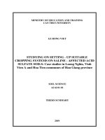 Xây dựng mô hình canh tác phù hợp trên đất phèn nhiễm mặn trường hợp nghiên cứu tại xã lương nghĩa, vĩnh viễn a và hỏa tiến của tỉnh hậu giang  tt tiếng anh 