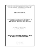 Khai thác vật liệu khởi đầu cho công tác nghiên cứu chọn tạo giống lúa kháng rầy nâu tt tiếng anh 