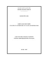 Chiến lược phát triển của Công ty Cổ phần Đầu tư và Xây lắp Thành An 665