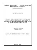 Nghiên cứu đặc điểm hình ảnh chụp mạch máu và đánh giá kết quả điều trị dị dạng động tĩnh mạch vùng đầu mặt cổ bằng phương pháp nút mạch tt tiếng anh 