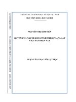 Quyền của người đồng tính theo pháp luật việt nam hiện nay