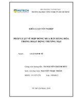 Pháp luật về hợp đồng mua bán hàng hóa trong hoạt động thương mại 