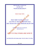 Phát triển nguồn nhân lực tại công ty trách nhiệm hữu hạn một thành viên công trình đô thị mỹ tho 