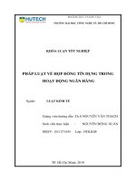 Pháp luật về hợp đồng tín dụng trong hoạt động ngân hàng 