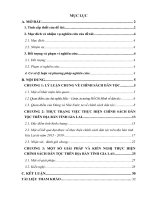 Tiểu luận giải pháp thực hiện chính sách dân tộc trên địa bàn tỉnh gia lai