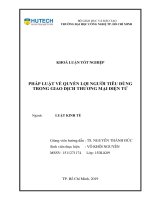 Pháp luật về quyền lợi người tiêu dùng trong giao dịch thương mại điện tử 