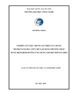 Nghiên cứu đặc trưng sắt điện của màng micronano BLT, PZT chế tạo bằng phương pháp dung dịch định hướng ứng dụng cho bộ nhớ sắt điện