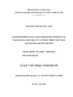 Giải pháp phòng ngừa, hạn chế rủi ro tín dụng tại Ngân hàng Thương mại cổ phần Đầu tư và Phát triển Việt Nam  chi nhánh Chương Dương