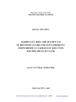 Nghiên cứu điều chế sét hữu cơ từ bentonit (ấn độ) với cetyltrimetyl amoni bromua và khảo sát khả năng hấp phụ metylen xanh 
