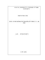 Dáng điệu tiệm cận của một số bất biến của lũy thừa các iđêan phủ 