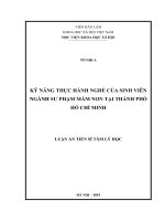 Kỹ năng thực hành nghề của sinh viên ngành sư phạm mầm non tại thành phố hồ chí minh 
