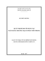 Quản trị rủi ro tín dụng tại ngân hàng thương mại cổ phần tiên phong 
