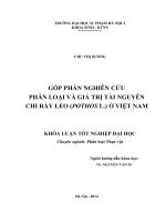 Góp phần nghiên cứu phân loại và giá trị tài nguyên chi ráy leo (pothos l ) ở việt nam 