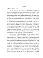 Xuất khẩu hàng dệt may tổng CT việt thắng sang nhật bản trong CPTPP v4