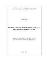 Xây dựng chiến lƣợc kinh doanh của công ty cổ phần nhựa bình minh đến năm 2020 
