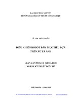 Điều khiển robot bám mục tiêu dựa trên xử lý ảnh 