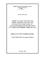 Nghiên cứu khả năng hấp thụ thuốc neomycin sulfate của vật liệu cellulose tạo ra từ gluconacetobacter xylinus nuôi cấy trong môi trƣờng nƣớc dừa già 