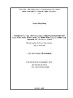 Nghiên cứu tạo chủng bacillus subtilis đột biến có khả năng sinh protease cao bằng chiếu xạ gamma kết hợp với xử lý kháng sinh 