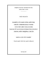 Nghiên cứu khả năng hấp thụ thuốc omeprazole natri của vật liệu cellulose tạo ra từ gluconacetobacter xylinus nuôi cấy trong môi trƣờng chuẩn 