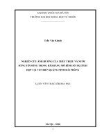 NGHIÊN CỨU ẢNH HƯỞNG CỦA THỦY TRIỀU VÀ NƯỚC DÂNG TỚI SÓNG TRONG BÃO BẰNG MÔ HÌNH SỐ TRỊ TÍCH HỢP TẠI VEN BIỂN QUẢNG NINHHẢI PHÒNG 