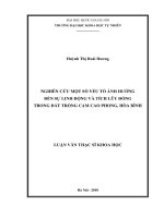 NGHIÊN CỨU MỘT SỐ YẾU TỐ ẢNH HƯỞNG  ĐẾN SỰ LINH ĐỘNG VÀ TÍCH LŨY ĐỒNG  TRONG ĐẤT TRỒNG CAM CAO PHONG, HÒA BÌNH 