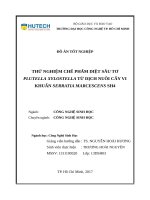 Thử nghiệm chế phẩm diệt sâu tơ plutella xylostella từ dịch nuôi cấy vi khuẩn serratia marcescens SH4 