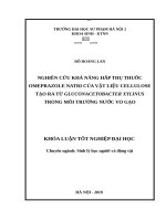 Nghiên cứu khả năng hấp thụ thuốc omeprazole natri của vật liệu cellulose tạo ra từ gluconacetobacter xylinus trong môi trường nước vo gạo 
