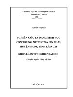 Nghiên cứu đa dạng sinh vật côn trùng nước ở xã sín chải, huyện sa pa, tỉnh lào cai 