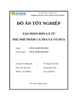 Tạo phân bón lá từ phụ phế phẩm cá tra và vỏ dứa 