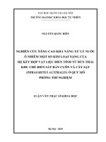 NGHIÊN CỨU NÂNG CAO KHẢ NĂNG XỬ LÝ NƯỚC Ô NHIỄM MỘT SỐ KIM LOẠI NẶNG CỦA  HỆ KẾT HỢP VẬT LIỆU BIẾN TÍNH TỪ BÙN THẢI  KHU CHẾ BIẾN SẮT BẢN CUÔN VÀ CÂY SẬY (PHRAGMITES AUSTRALIS) Ở QUY MÔ  PHÒNG THÍ NGHIỆM 