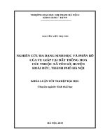 Nghiên cứu đa dạng sinh học và phân bố của ve giáp tại đất trồng hoa cúc thuộc xã yên sở, huyện hoài đức, thành phố hà nội 
