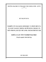 Nghiên cứu đa dạng sinh học và phân bố của ve giáp thuộc đất trồng mướp đắng thuộc xã tiền phong, huyện mê linh, thành phố hà nội 